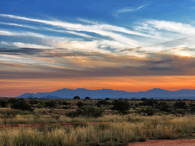 The Huachuca Mountains