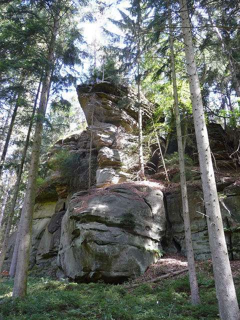 Grüne Hölle bei Bollendorf