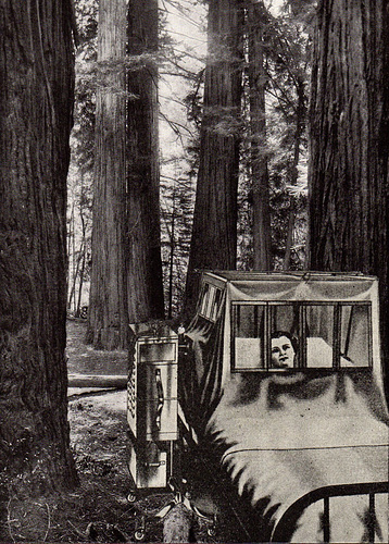 California Dreaming