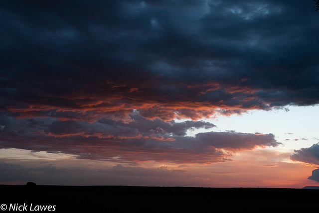 Sunset in the Mara