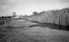 Fence