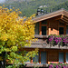 Herbstfarben in Zermatt