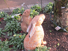 Two rabbits