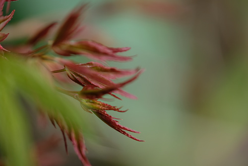 DSCF3670