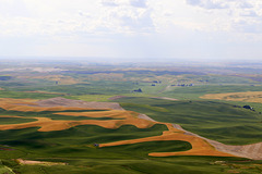 Steptoe Butte