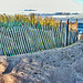 Fences on the Beach