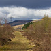 Longdendale Trail Horse track West