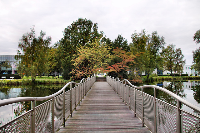 Brücke über dem Teich am Businesspark (Duisburg) / 3.10.2022