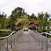 Brücke über dem Teich am Businesspark (Duisburg) / 3.10.2022