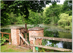 Romance at the mill pond - HFF