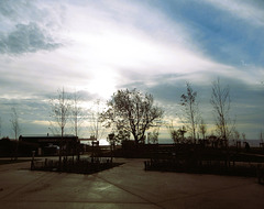 un matin humide après la pluie un matin humide après la pluie