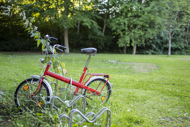 Red & Green (28.06.2018)