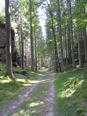 Grüne Hölle bei Bollendorf