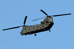 EOS 90D Peter Harriman 19 25 05 37196 chinook dpp