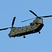 EOS 90D Peter Harriman 19 25 05 37196 chinook dpp