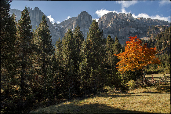 Tardor al Prat del Cadí