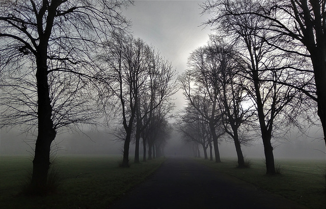 A foggy Sunday walk in Platt Fields.