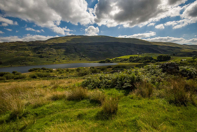 Welsh hills