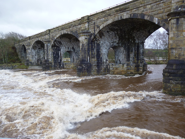 aav / wst d - Alston arches - 6th Dec 2015