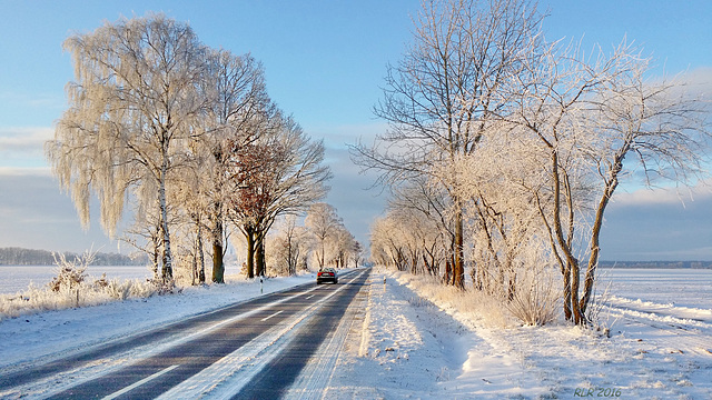 Wintermorgen 1