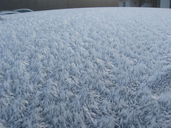 Car. Frozen.