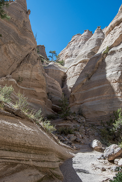 New Mexico slot canyon51