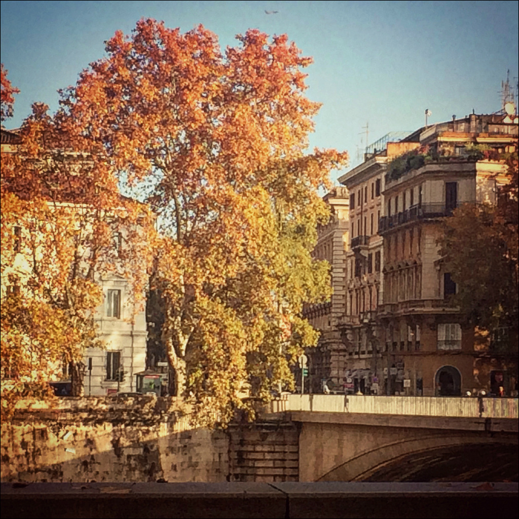 Lungotevere.