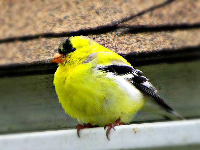 A cold April day