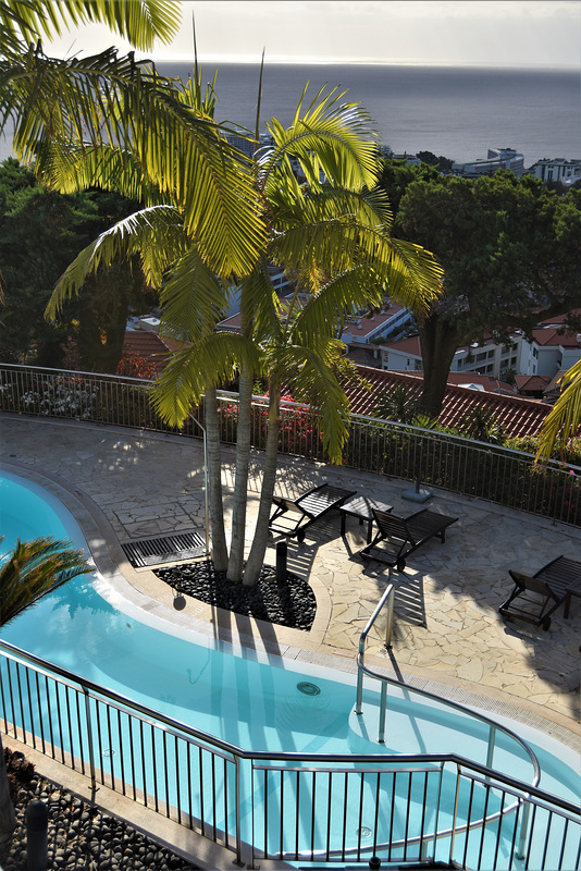 Fences around the swimming pool under the palm trees
