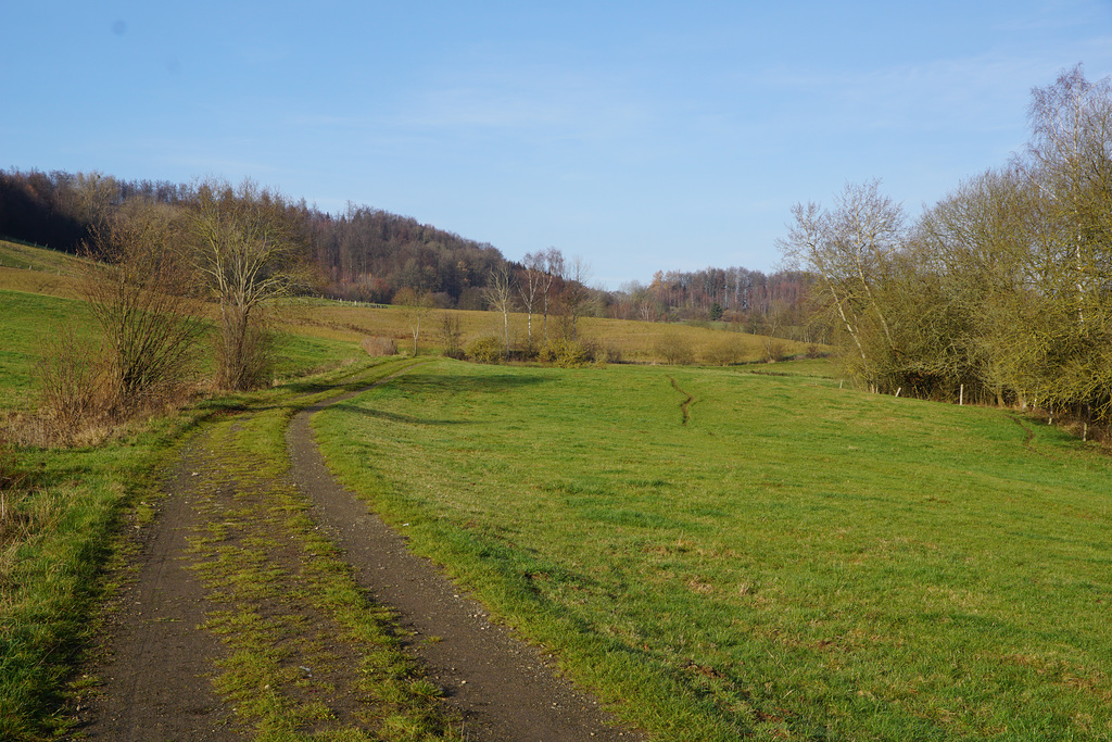 Dezembersonne III