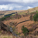 River Etherow at Woodhead