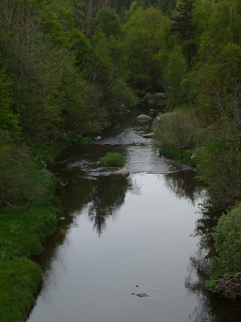 20150514 -17 Chastagnier Lozere VTT-Rando (48) al