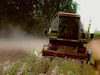 Erntezeit ...  Harvesttime ...  Temps de la moisson ...