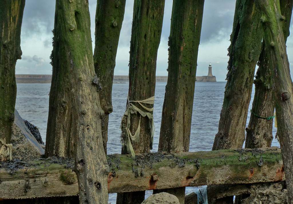 Staithes with a peep through to Tynemouth Pier