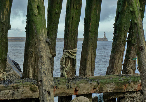 Staithes with a peep through to Tynemouth Pier