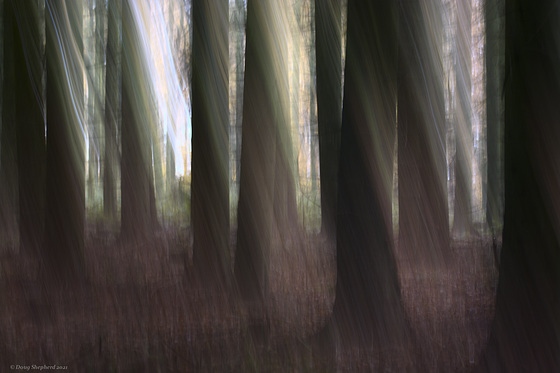 Unintentional camera movement