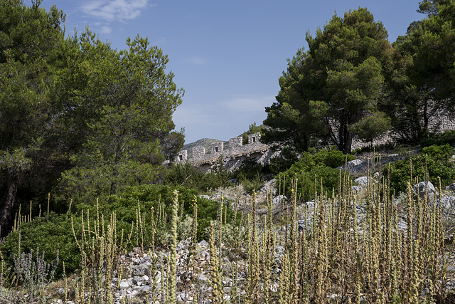 Grebastica - Croazia