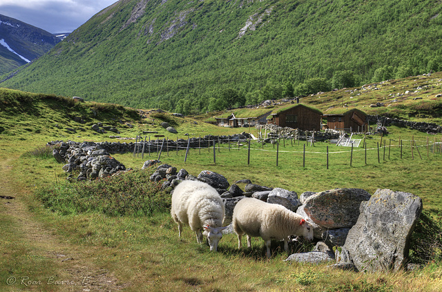 Local folks in Grøvudalen, Sunndal.