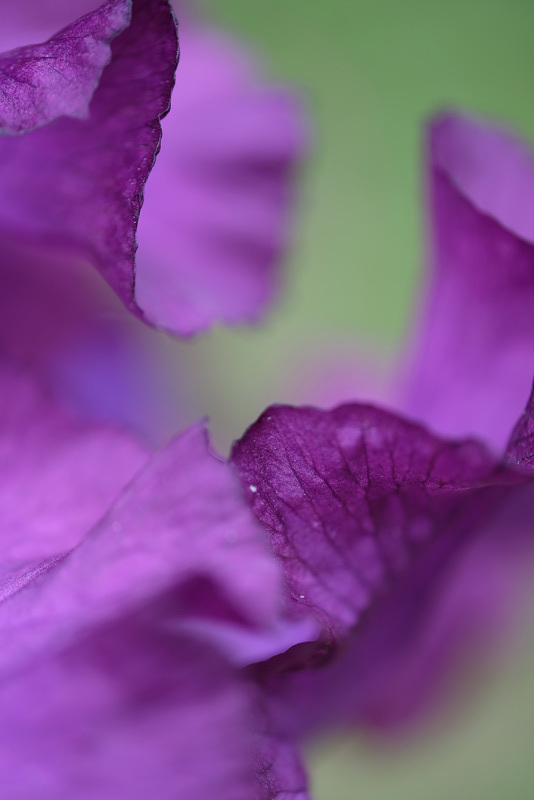 DSCF8331