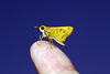 Fiery Skipper Butterfly