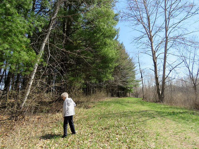 My friend enjoyed discovering Spring flowers with me.