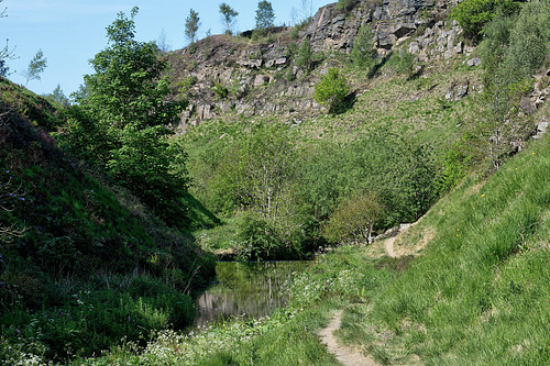 Visions of Park Bridge: Weir view