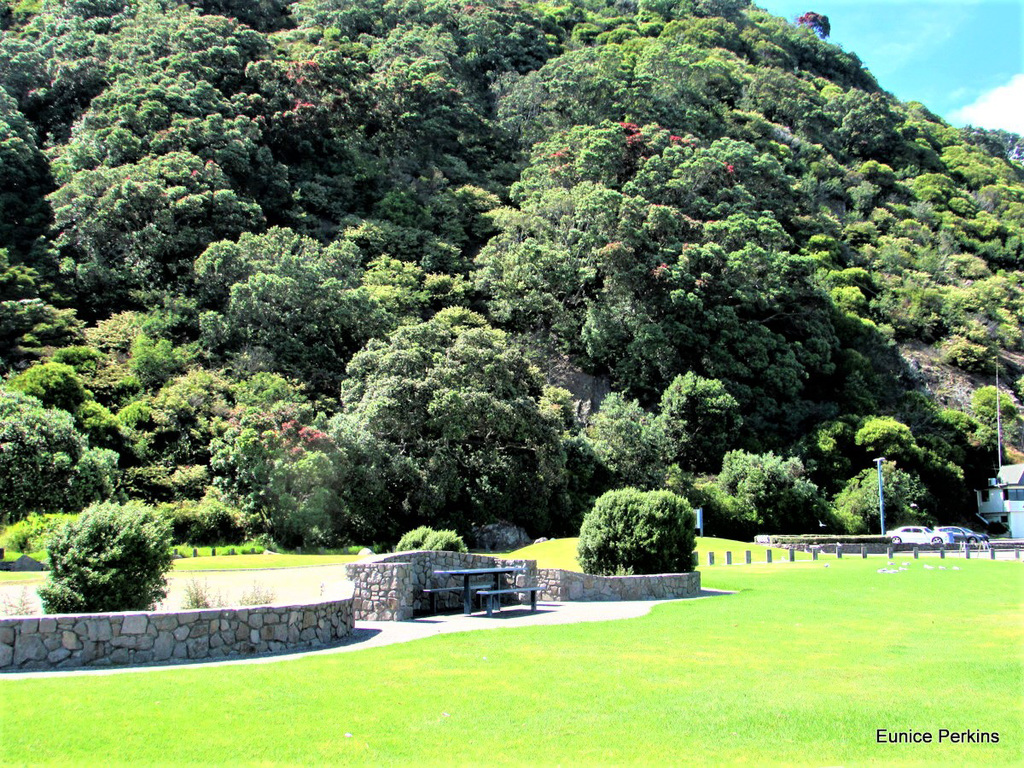 Whakatane Picnic Spot.