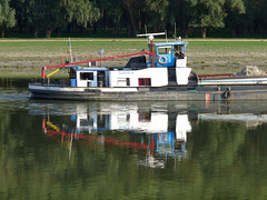 Danube Reflections #2