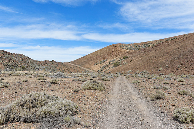 Rückweg nach El Portillo (© Buelipix)