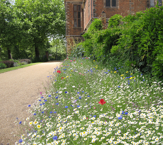 Lady Holte's Garden at Aston Hall