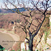 River Wye from Wintour’s Leap (Scan from 1991)