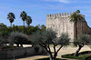 Jerez de la Frontera - Alcázar