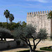 Jerez de la Frontera - Alcázar