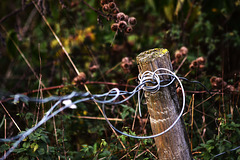 Twisted wire fence!
